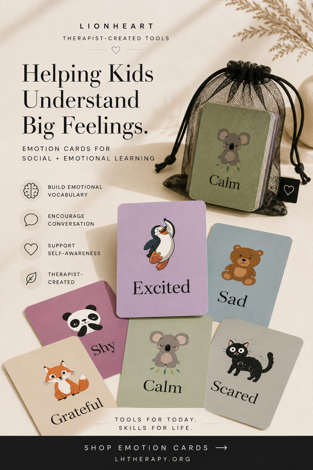 Toddler Emotion Flashcards
